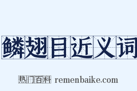 鳞翅目近义词是什么意思的图片